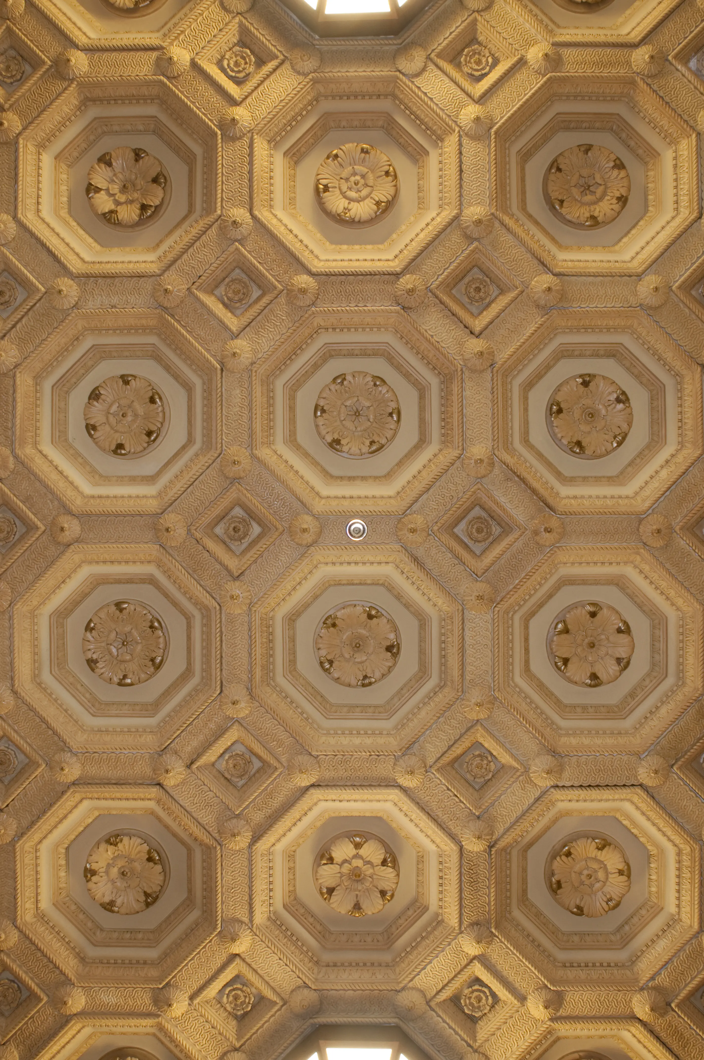 GH2Atlas1stFloor-ceiling19